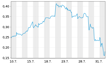 Chart Mini Future Long BYD - 1 mois