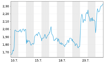 Chart Mini Future Long BMW - 1 Monat