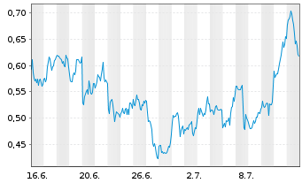 Chart Mini Future Long Pan American Silver - 1 mois