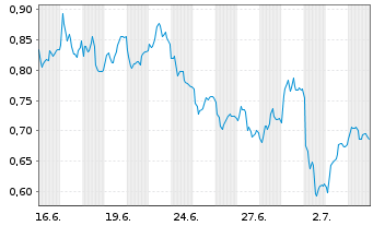 Chart Mini Future Short Salzgitter - 1 Monat