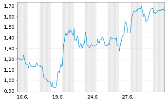 Chart Mini Future Long FACC - 1 Monat