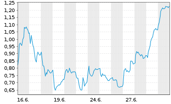 Chart Mini Future Long Kering - 1 Month