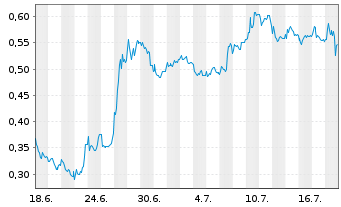 Chart Mini Future Long Indus Holding - 1 Monat