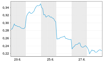 Chart Mini Future Long BYD - 1 Month