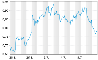 Chart Mini Future Long Puma - 1 mois