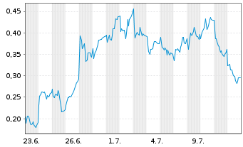 Chart Mini Future Long Puma - 1 mois