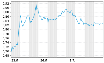 Chart Mini Future Short Shell - 1 Monat