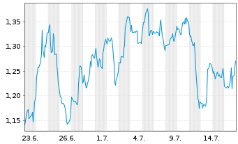 Chart Mini Future Long Visa - 1 Monat