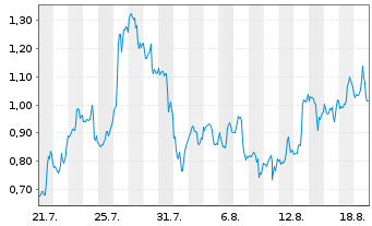 Chart Mini Future Long Nike - 1 Monat
