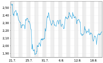 Chart Mini Future Short Nike - 1 Monat