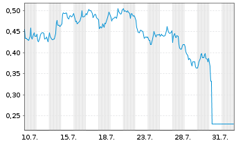 Chart Mini Future Short Shell - 1 Month