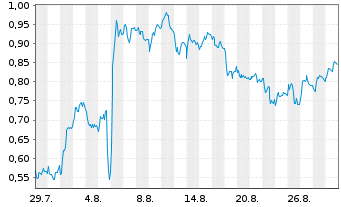 Chart Mini Future Short Zalando - 1 Monat