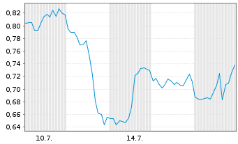 Chart Mini Future Long Visa - 1 Monat
