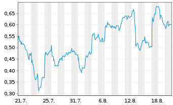 Chart Mini Future Long FinTech Group - 1 Monat