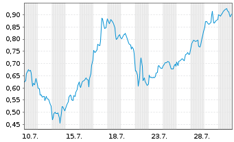 Chart Mini Future Long Oracle - 1 Monat