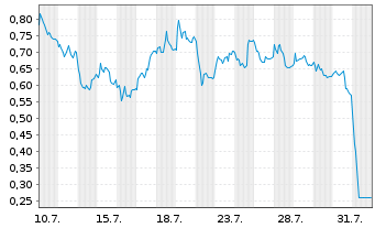 Chart Mini Future Long Bechtle - 1 mois