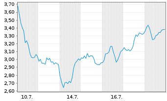 Chart Mini Future Long Adyen - 1 Monat