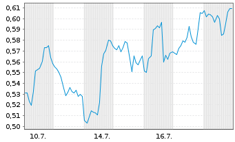 Chart Mini Future Long Carnival - 1 Monat