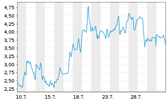 Chart Mini Future Long Riot Blockchain - 1 Monat