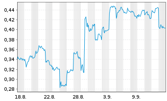 Chart Mini Future Short BYD - 1 Monat