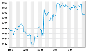 Chart Mini Future Short BYD - 1 Monat