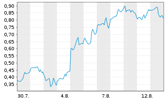 Chart Mini Future Long Palantir - 1 Monat