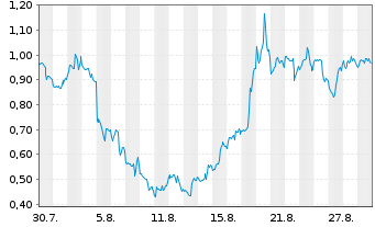 Chart Mini Future Short Palantir - 1 Month