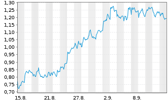 Chart Mini Future Short Allianz - 1 Month