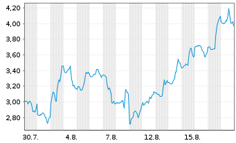 Chart Mini Future Short Microstrategy - 1 Month