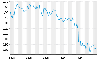 Chart Mini Future Long BMW - 1 Monat