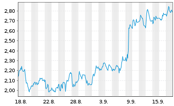 Chart Mini Future Short BMW - 1 Month