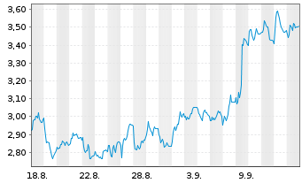 Chart Mini Future Short BMW - 1 Monat
