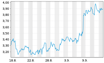 Chart Mini Future Short BMW - 1 Monat