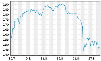 Chart Mini Future Short Puma - 1 Month