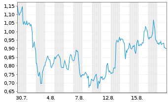 Chart Mini Future Long Nike - 1 Monat