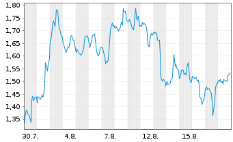 Chart Mini Future Short Nike - 1 Monat