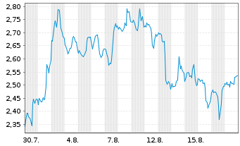 Chart Mini Future Short Nike - 1 Monat