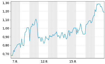 Chart Mini Future Short Steyr Motors - 1 Monat