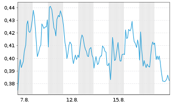 Chart Mini Future Short Shell - 1 Monat