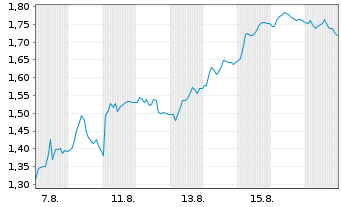 Chart Mini Future Short SUESS MicroTec - 1 Monat