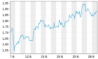 Chart Mini Future Long Visa - 1 Monat