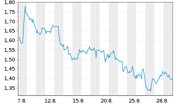 Chart Mini Future Short Visa - 1 Monat
