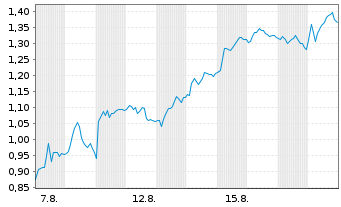 Chart Mini Future Short SUESS MicroTec - 1 Monat