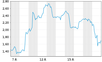 Chart Mini Future Long Micron - 1 Month
