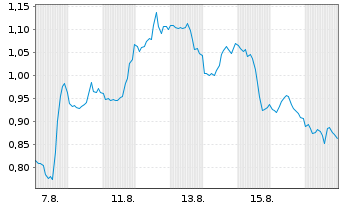 Chart Mini Future Short Salesforce.com - 1 Monat