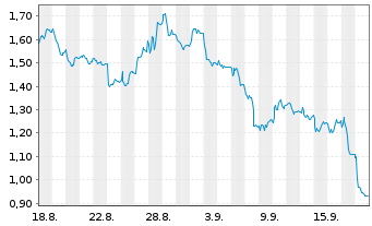 Chart Mini Future Short Delivery Hero - 1 Month