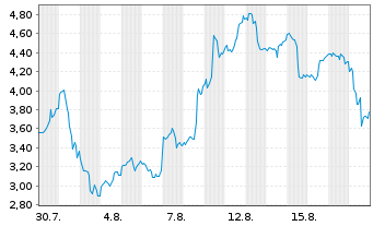 Chart Mini Future Long Micron - 1 Month