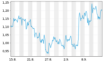 Chart Mini Future Short Visa - 1 Month