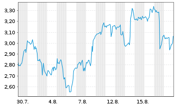 Chart Mini Future Long Netflix - 1 Monat