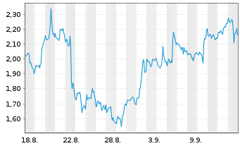Chart Mini Future Short Block - 1 Monat